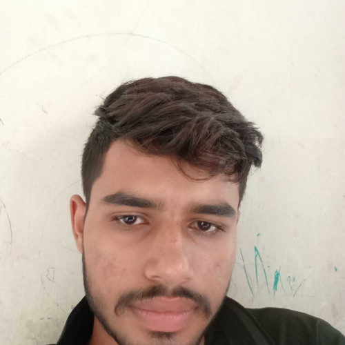 Ali H. profile photo