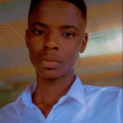 Fortune  A. profile photo