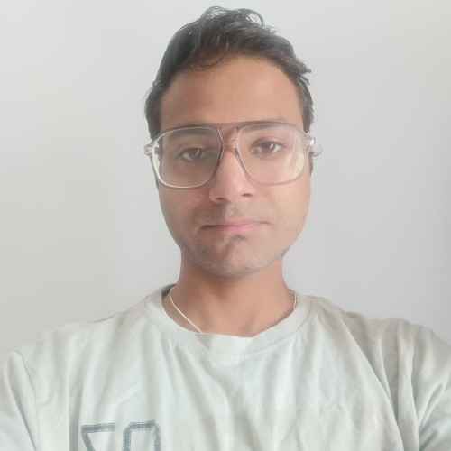 Ankit P.