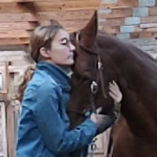Shi S. profile photo