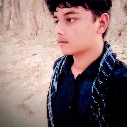 Shahrukh  S. profile photo