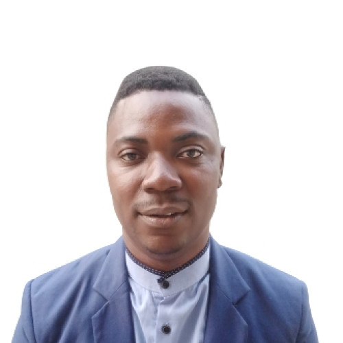 ADERIBIGBE  D. profile photo