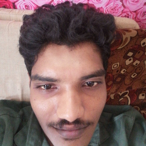 Fazil H. profile photo