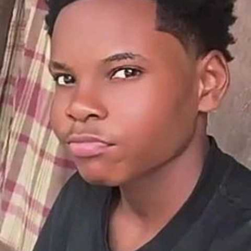 kito d. profile photo