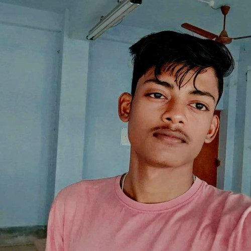 Sarbaranjan  P. profile photo