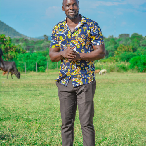 Felix A. profile photo