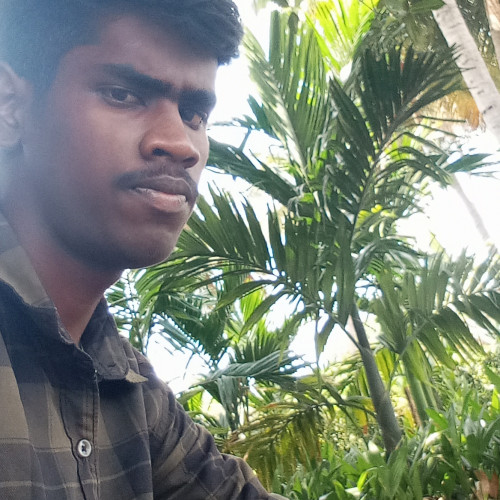Balamurugan  B. profile photo