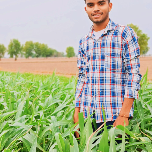 Suraj K.
