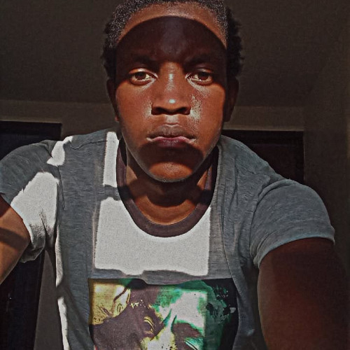 Dante N. profile photo