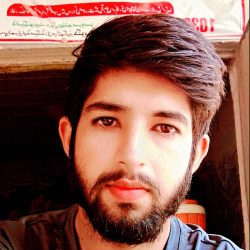 Kami K. profile photo