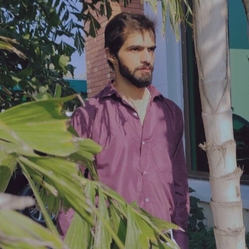 Shahzaib M. profile photo