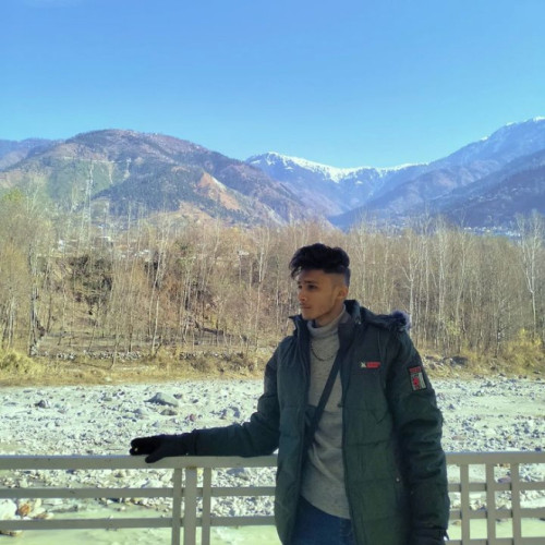 Muhammad  S. profile photo