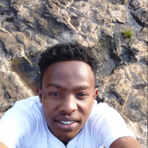 Morris F. profile photo