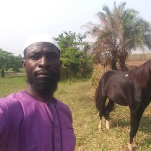 Abass  A. profile photo