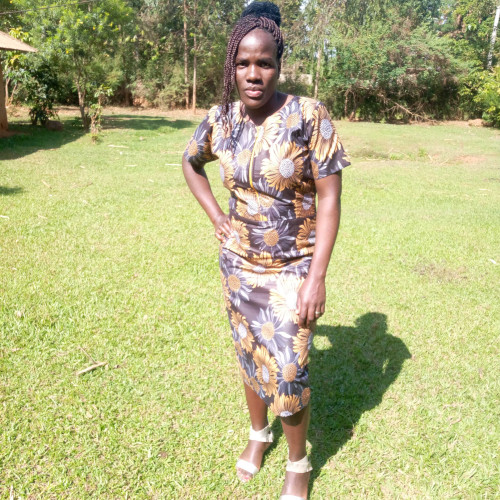 phelesttus a. profile photo