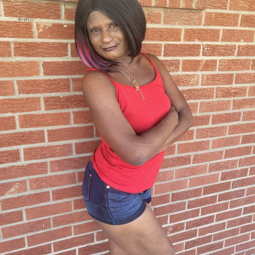 Ariel  T. profile photo