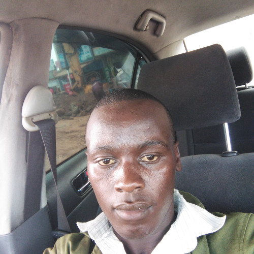 Stephen N. profile photo