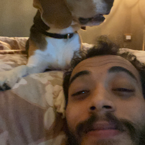Mohamed K. profile photo