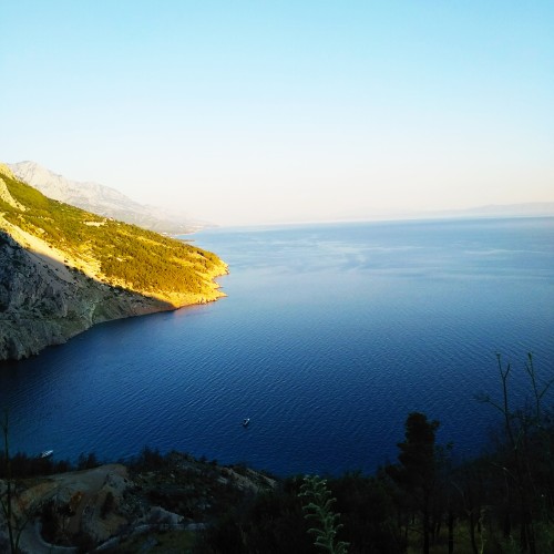 Mark S. profile photo