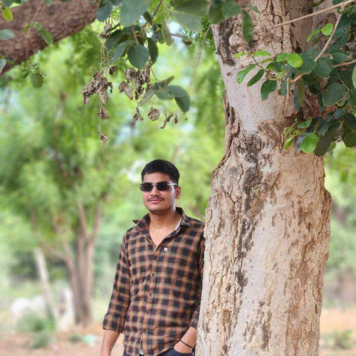 gourav M. profile photo