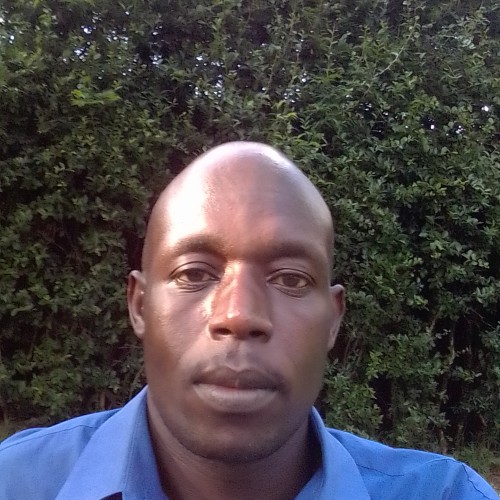 Daniel  K.