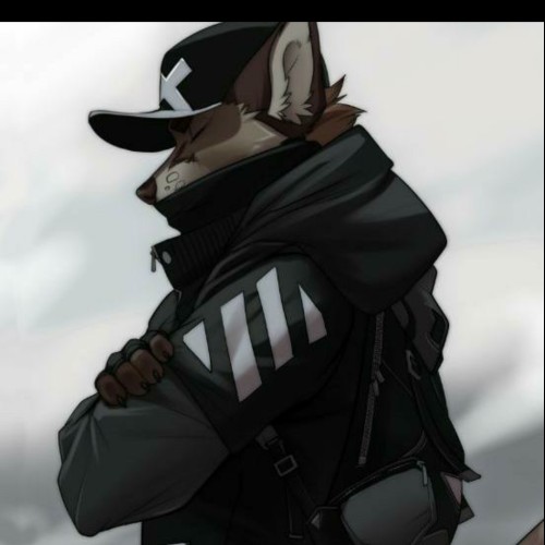 Mayk M. profile photo