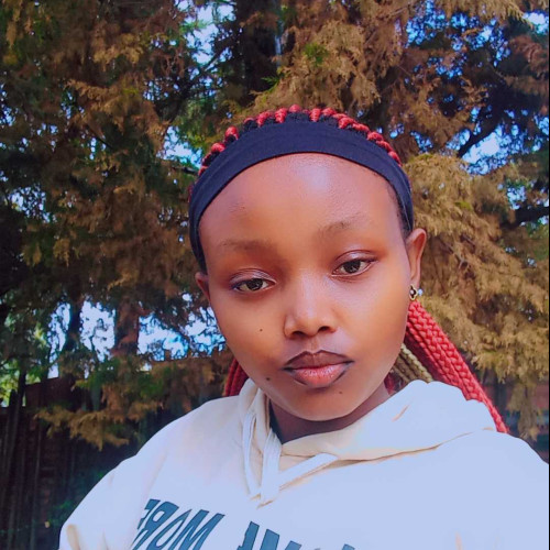 Ann N. profile photo