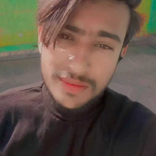 dinesh m. profile photo