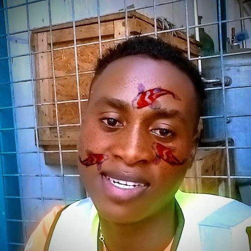 prechy z.