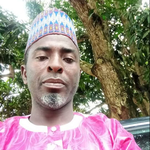 Olanrewaju  O. profile photo