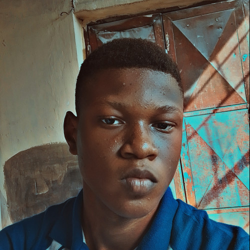 David  O. profile photo