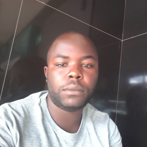 CHANSA  N. profile photo