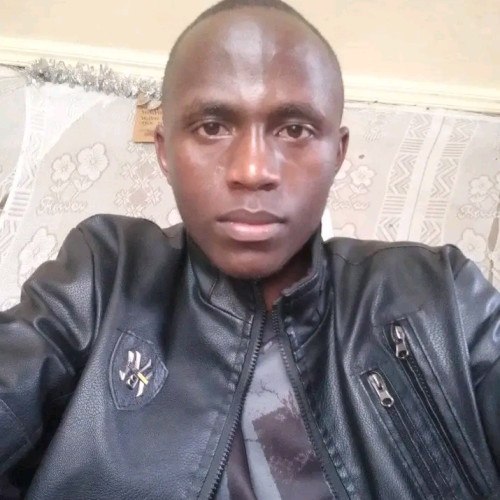Kibee Y. profile photo