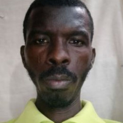 Synapse S. profile photo