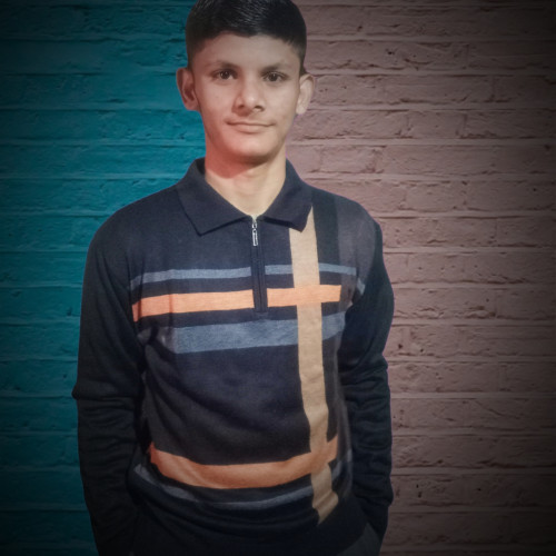 Mayank S.