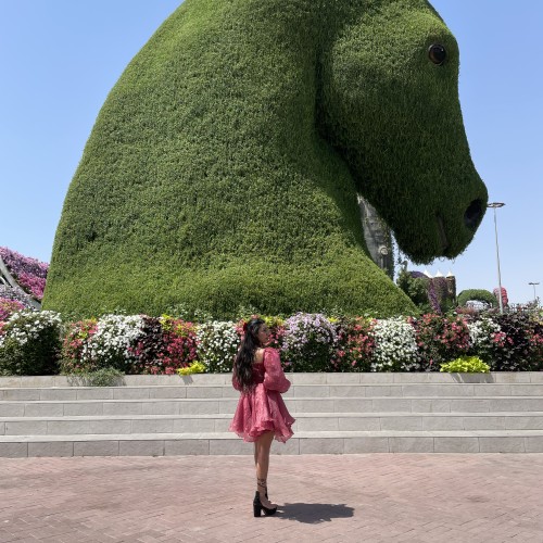Divya R.