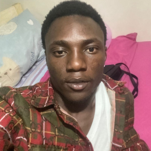 Sean D. profile photo