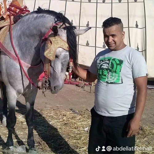 Abdellatif  E. profile photo