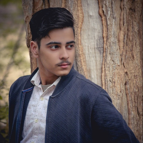 Chouhan S. profile photo