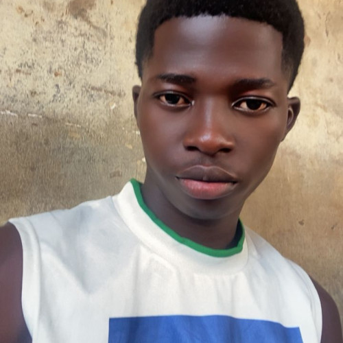Chidiebere S. profile photo