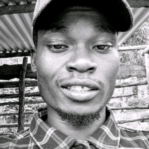 Nash M. profile photo