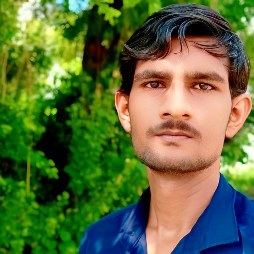 Bhavesh a. profile photo