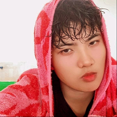 Kristine M. profile photo
