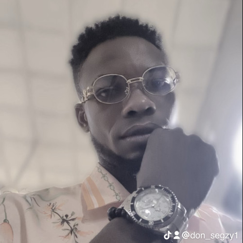 Segun  O. profile photo