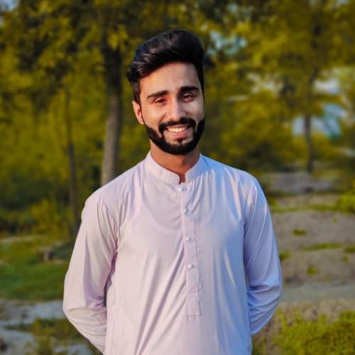 Ali H.