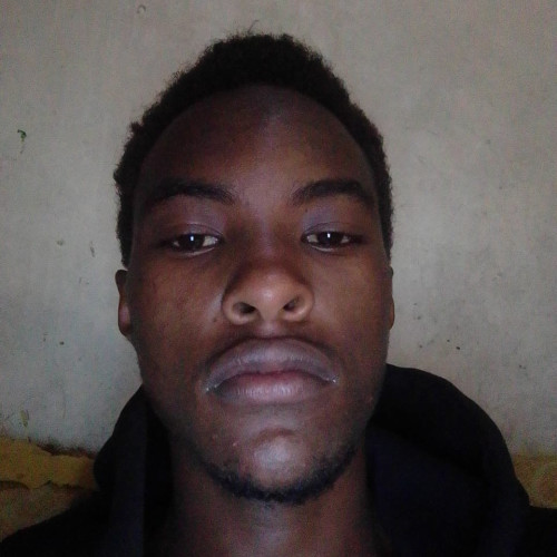 Alvis M. profile photo