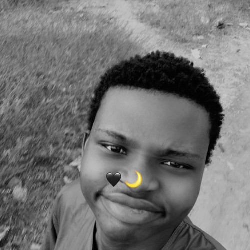 Abdullahi A. profile photo