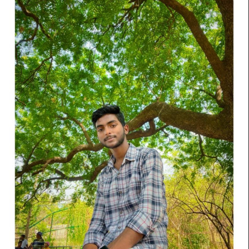 Vishal V. profile photo