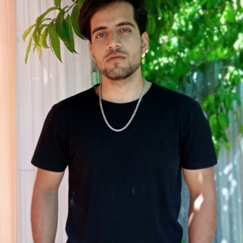 salim d.