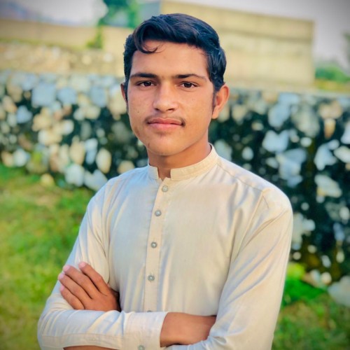 Hammad K.